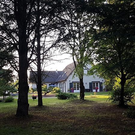 Le Clos des Écureuils Vouzon Extérieur photo
