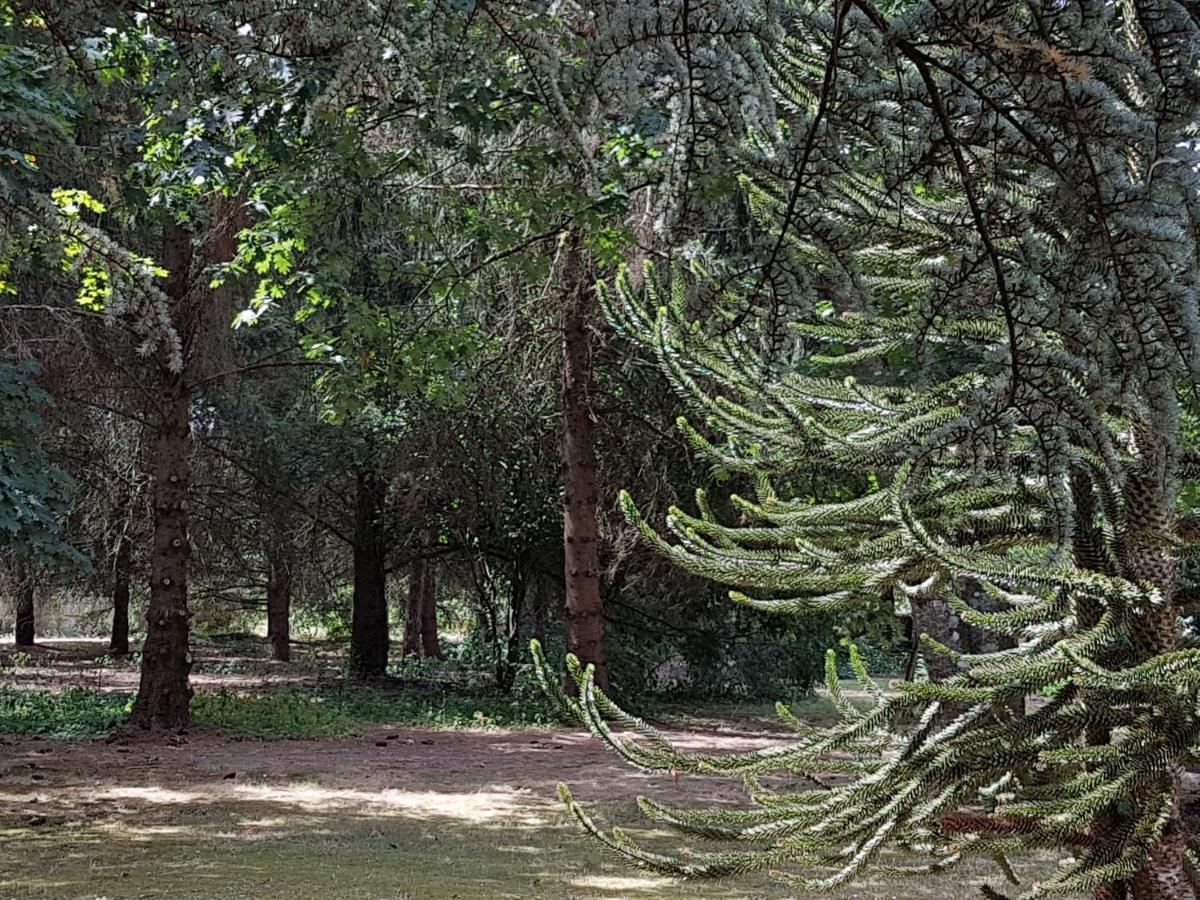 Le Clos des Écureuils Vouzon Extérieur photo