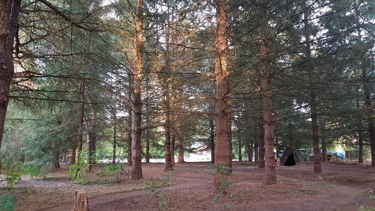 Le Clos des Écureuils Vouzon Extérieur photo
