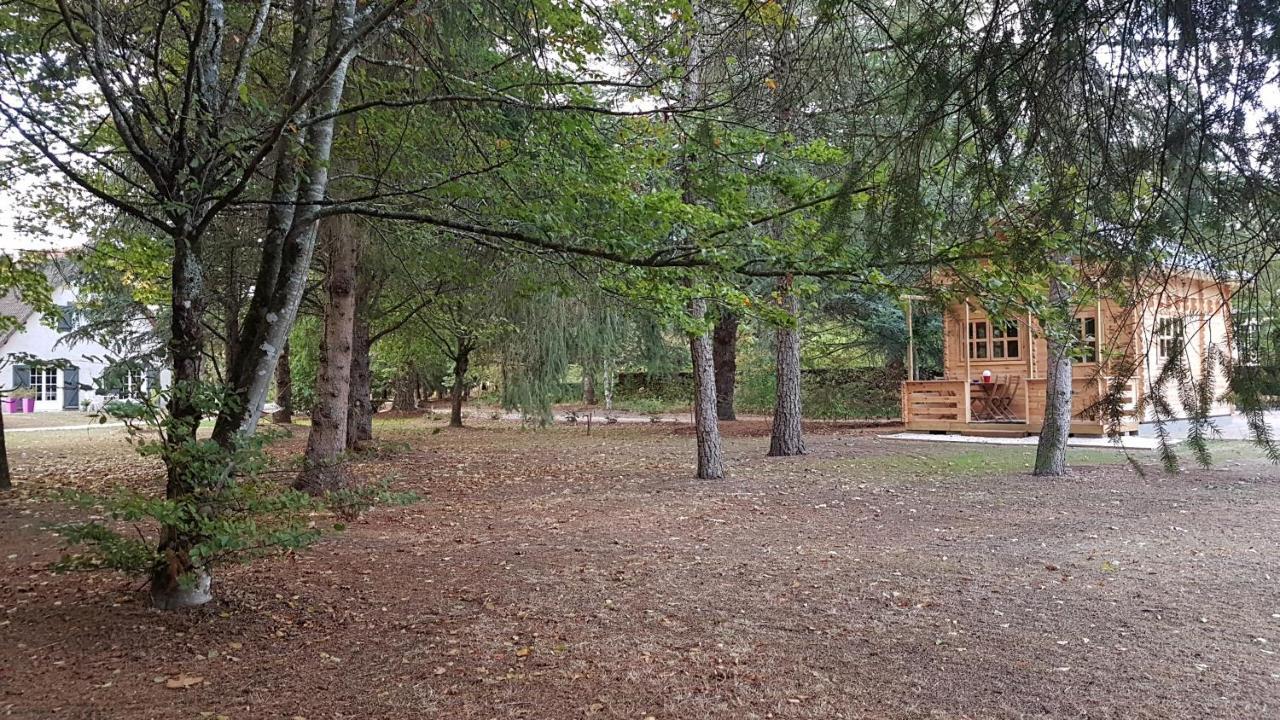 Le Clos des Écureuils Vouzon Extérieur photo