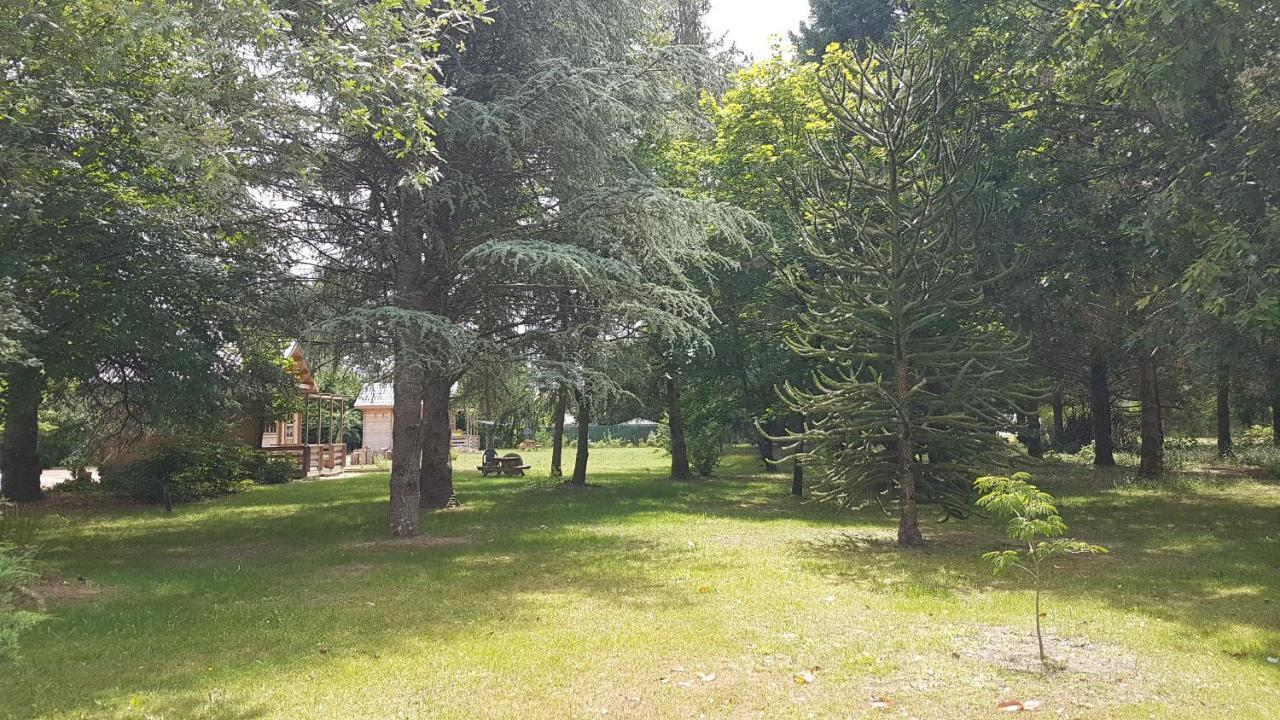 Le Clos des Écureuils Vouzon Extérieur photo