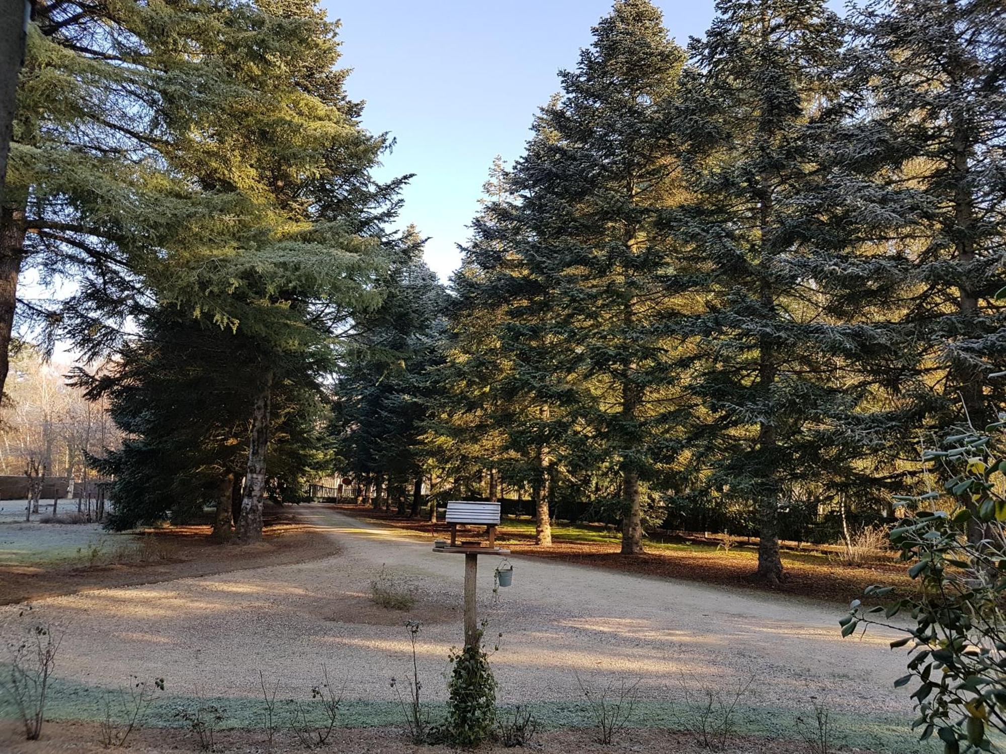 Le Clos des Écureuils Vouzon Extérieur photo