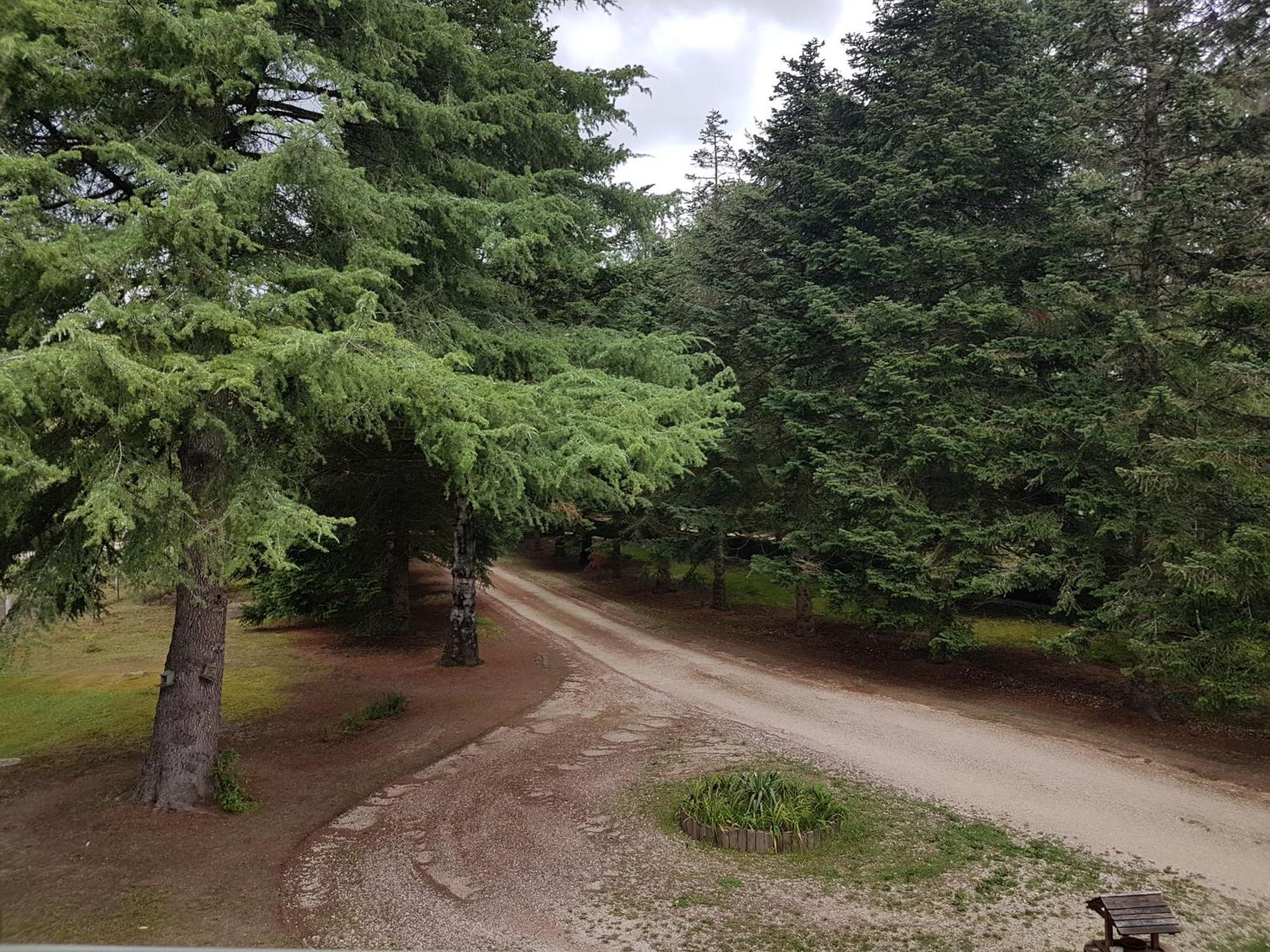 Le Clos des Écureuils Vouzon Extérieur photo
